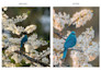 make your photos looks post ready